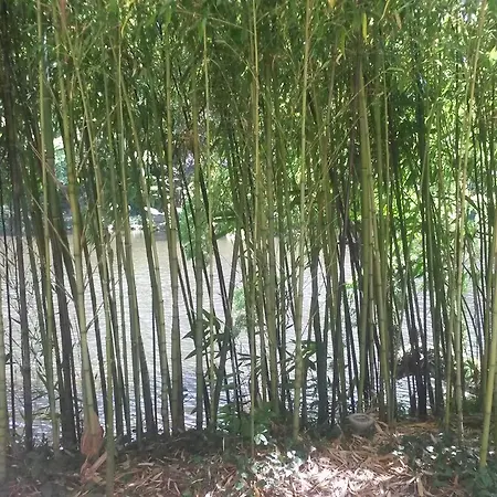 Hotel Chez Seb & Claire Rorthais